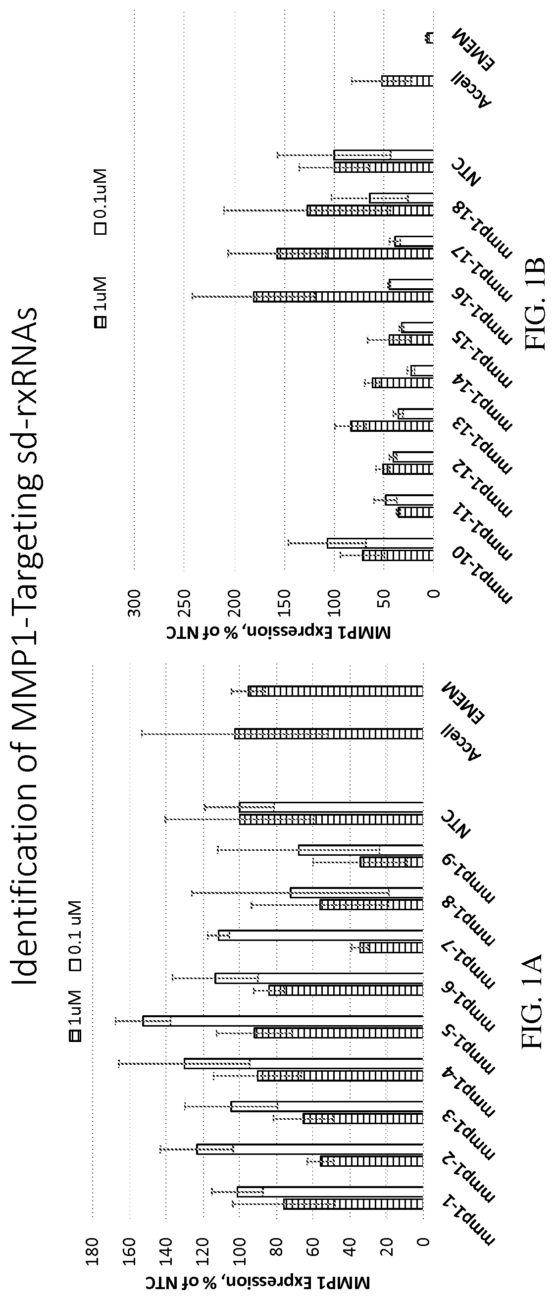 Methods for treating aging and skin disorders using nucleic acids targeting Tyr or MMP1