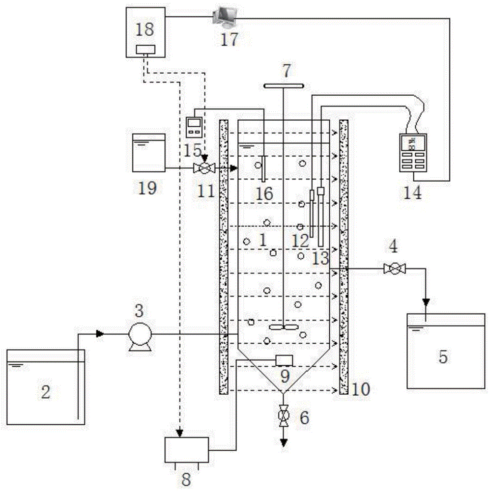 Device and method for treating low-temperature high-ammonia nitrogen wastewater by use of constant magnetic field