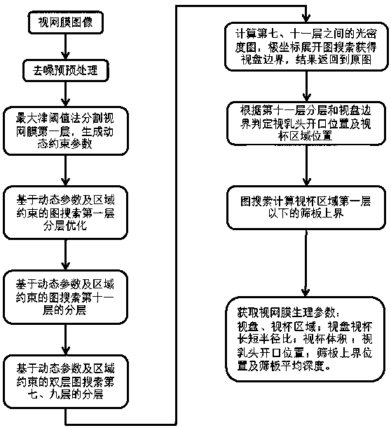 Dynamic constraint graph search-based algorithm for acquiring physiological parameters in retina OCT image