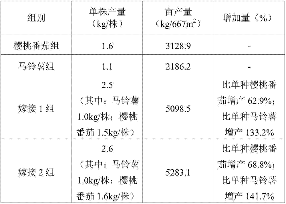 Grafting activator and method for increasing grafting survival rate