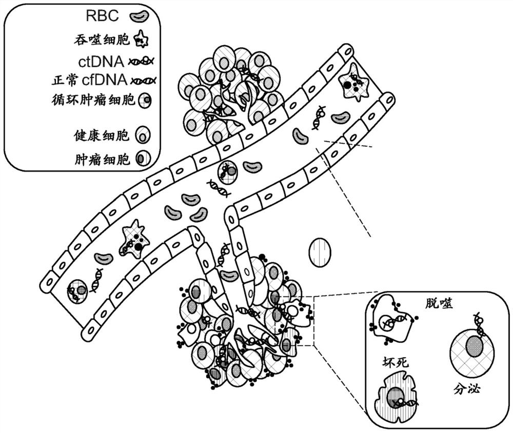 Method and apparatus for assessing patient response to treatment