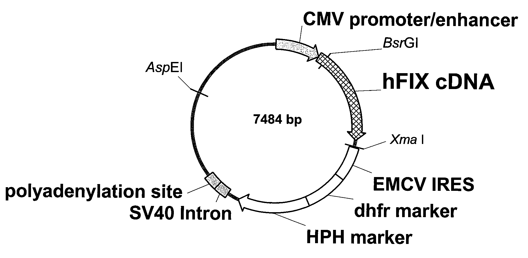 FVIII-Independent FIX-Mutant Proteins for Hemophilia A Treatment