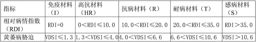 Rapid identification method for cotton verticillium wilt resistance in seedling stage