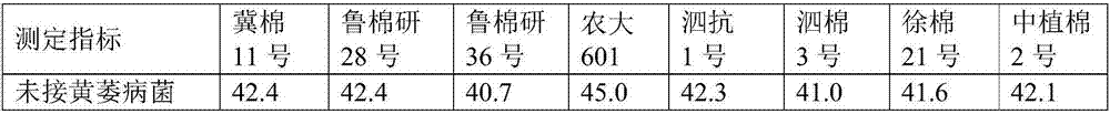 Rapid identification method for cotton verticillium wilt resistance in seedling stage