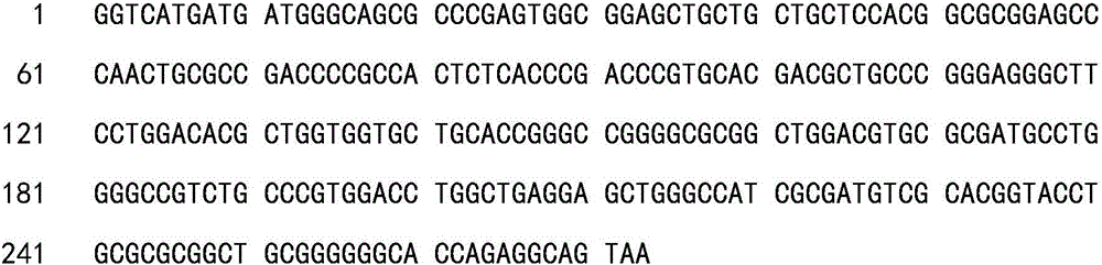 CDKN2A gene fragment and application of primers of CDKN2A gene fragment in diagnosing tumors