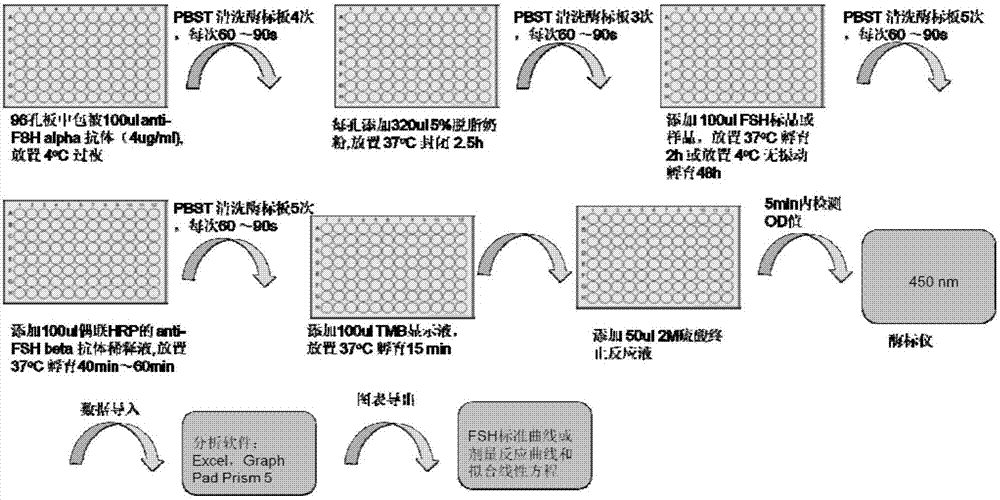 Double-antibody sandwich enzyme-linked immunoassay method for quantitatively detecting human follicle-stimulating hormone