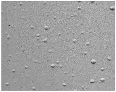 Concrete base interface agent for preventing plastering gypsum mortar layer from bubbling and preparation method of concrete base interface agent