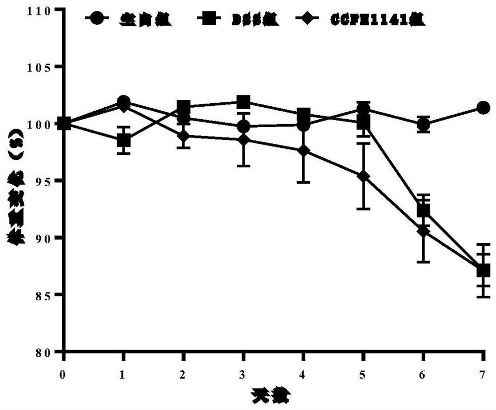 A strain of Lactobacillus rumen for relieving colitis and its application