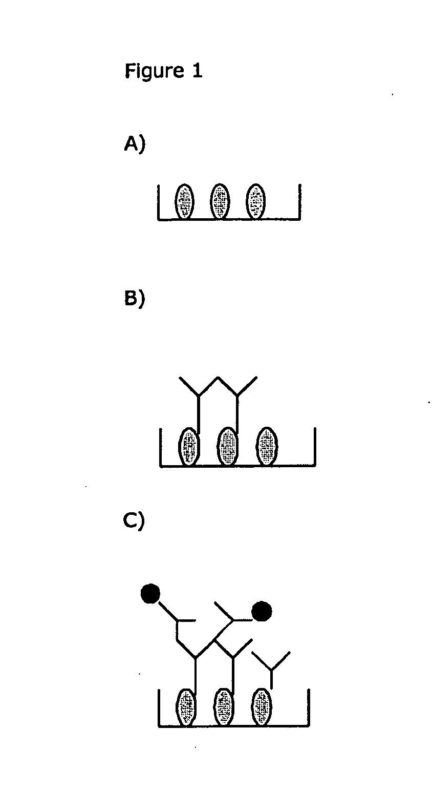 Method for detecting Anti-drug antibodies