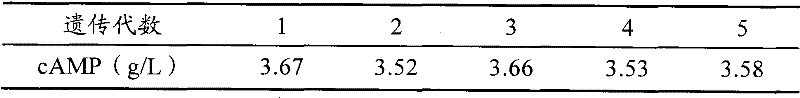 Arthrobacter for fermentative production of cyclic adenosine monophosphate and application thereof