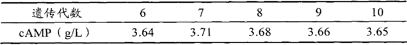 Arthrobacter for fermentative production of cyclic adenosine monophosphate and application thereof