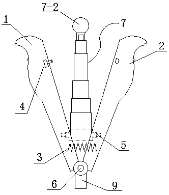 Gynecological cleaning device