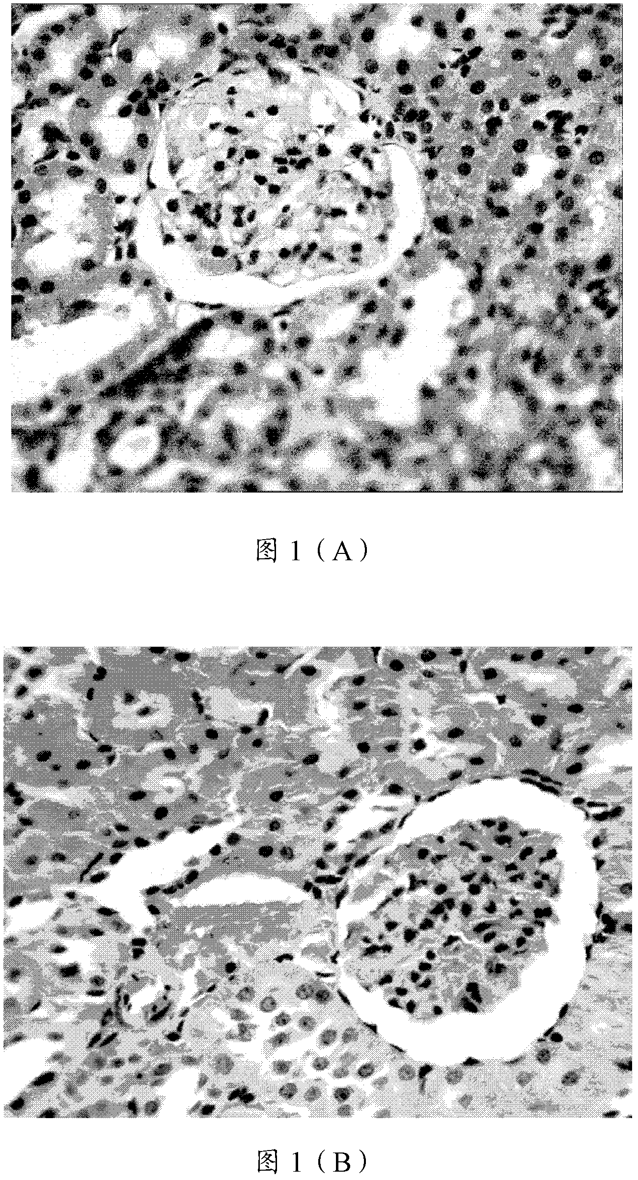 Chinese traditional medicine composition, preparation method thereof and Chinese traditional medicine preparation