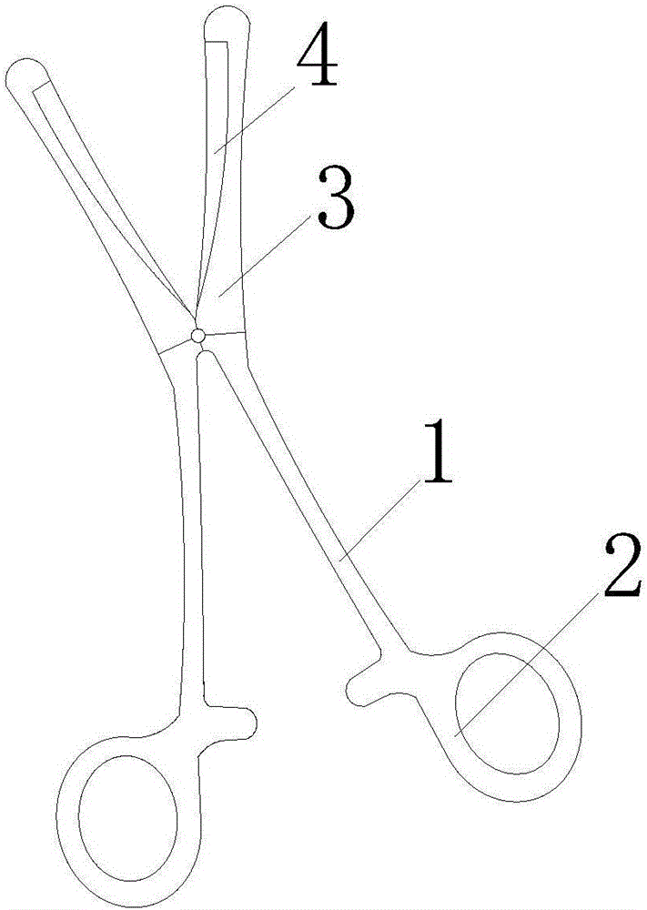 Guiding forceps convenient to clamp and fix for use