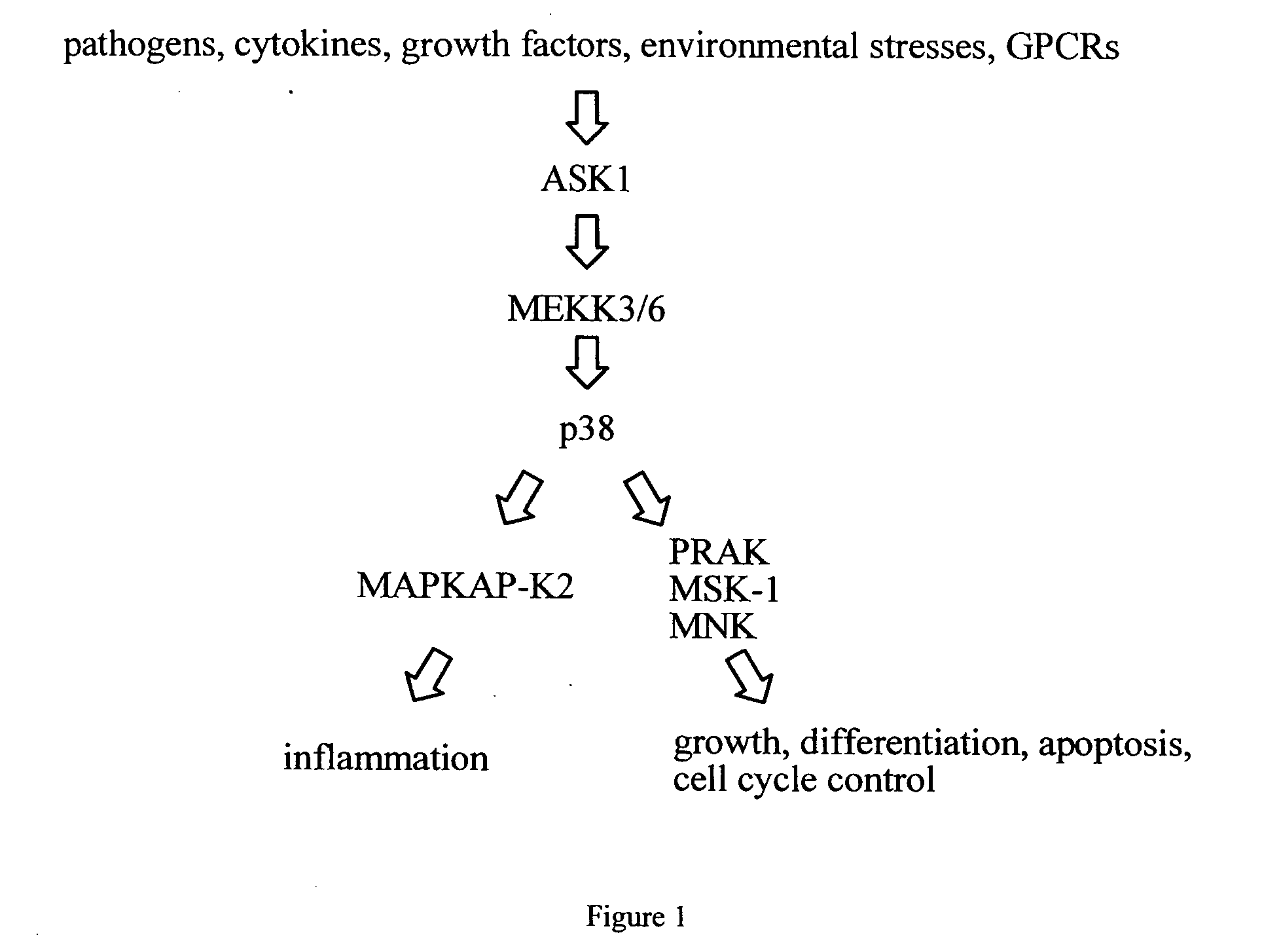 Pyrazolo[1,5-a]pyridine derivatives or pharmaceutically acceptable salts thereof