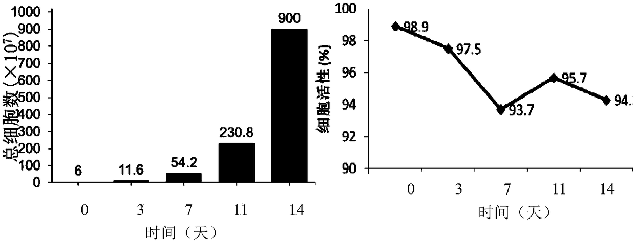 Immune cell culture medium system