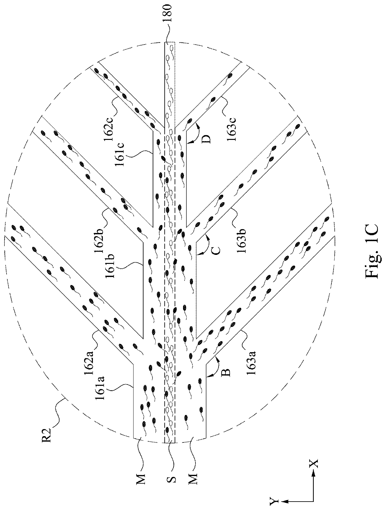 Microfluidic chip for sorting sperm and sperm sorting method