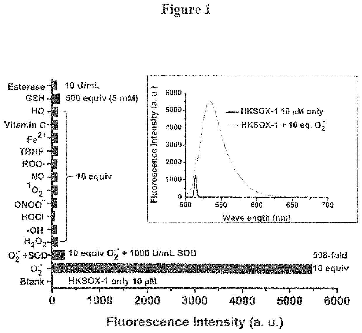 Bistrifilate-based fluorogenic probes for detection of superoxide anion radical