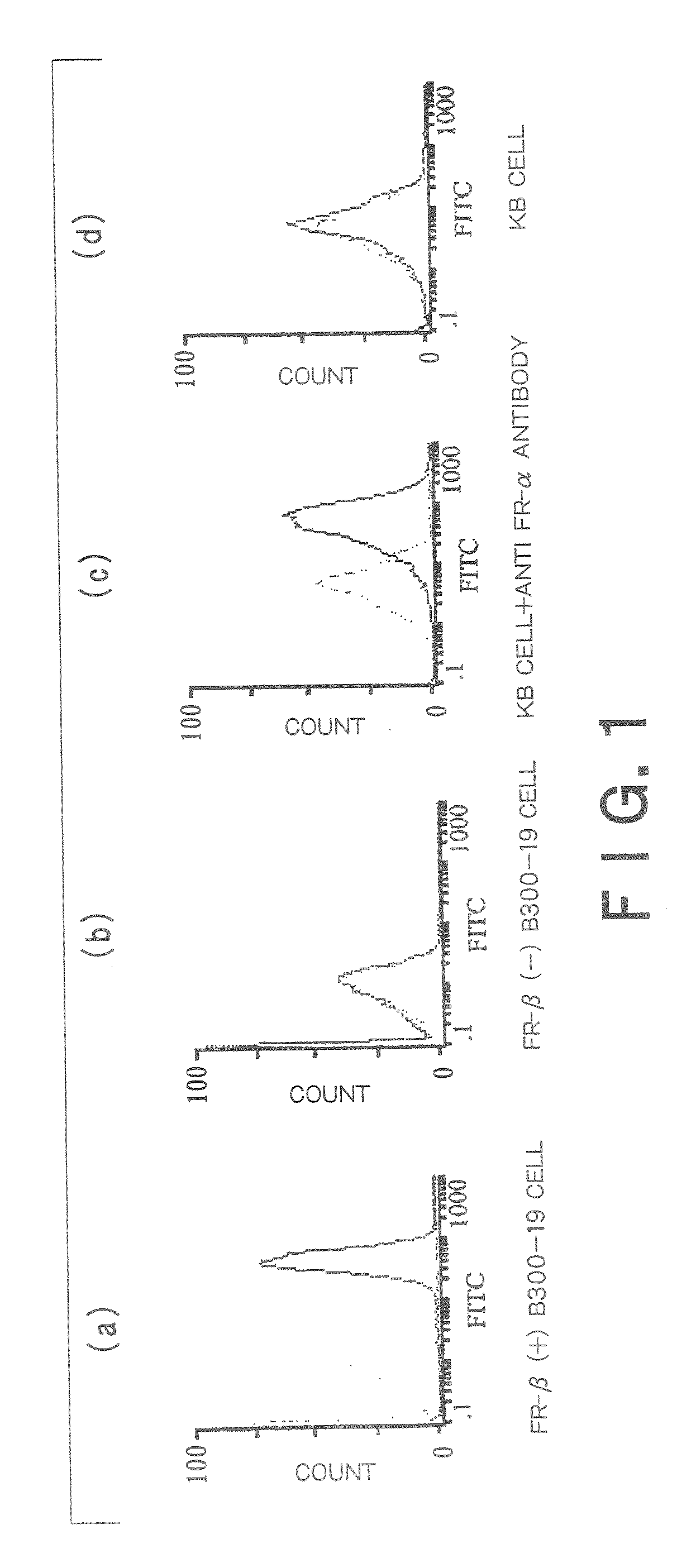 Therapeutic Medicine Containing Monoclonal Antibody Against Folate Receptor Beta (Fr-Beta)