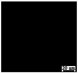 A method for preparing graphene film by atmospheric pressure low temperature chemical vapor deposition