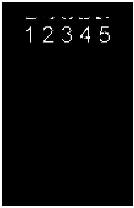 Recombinant broad-spectrum metarhizium as well as preparation method and application thereof