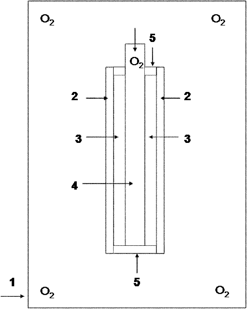 Device and method for preparing hollow heteromorphic bacteria cellulose material