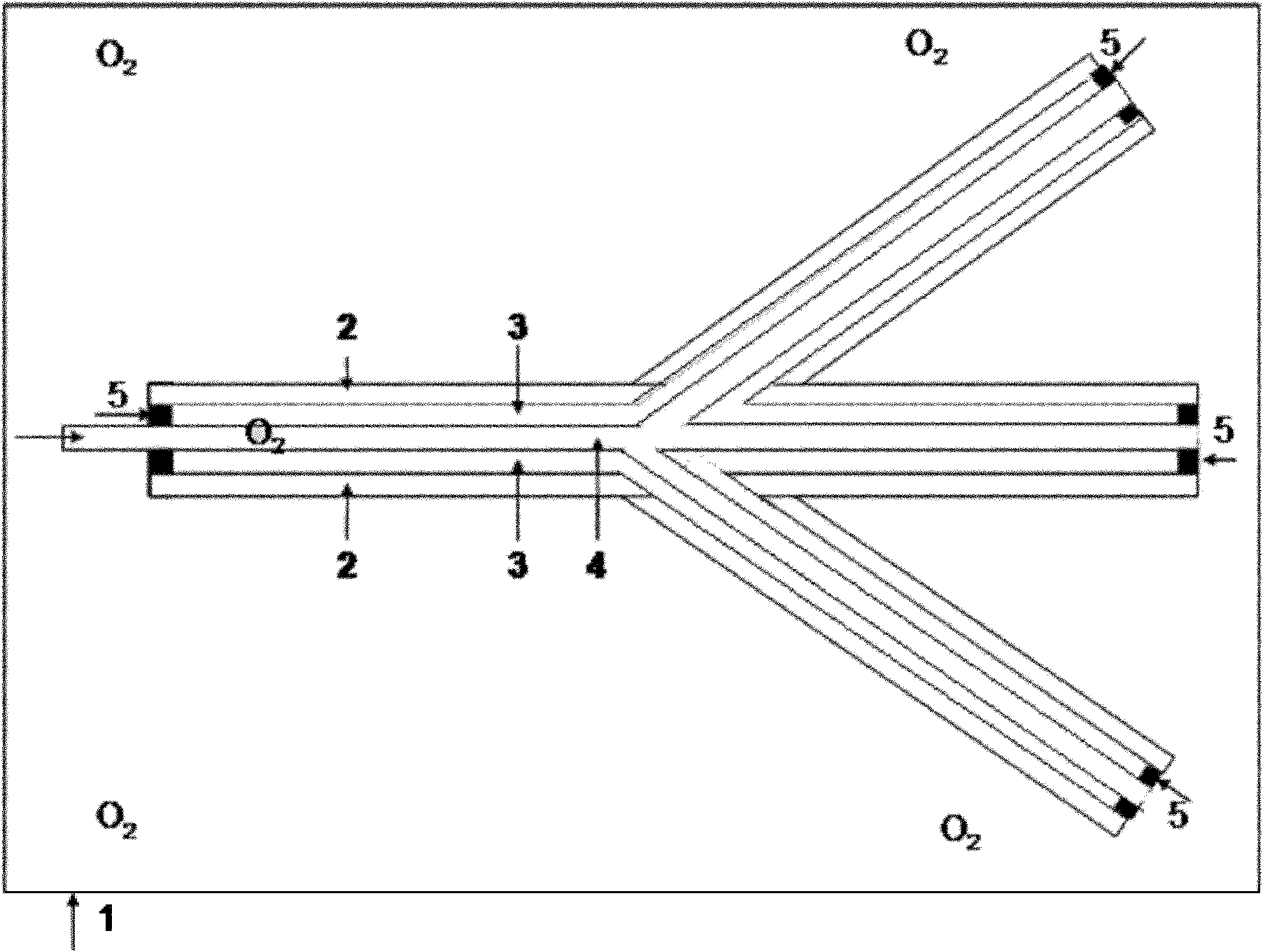 Device and method for preparing hollow heteromorphic bacteria cellulose material