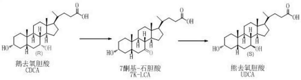 Preparation method of ursodesoxycholic acid