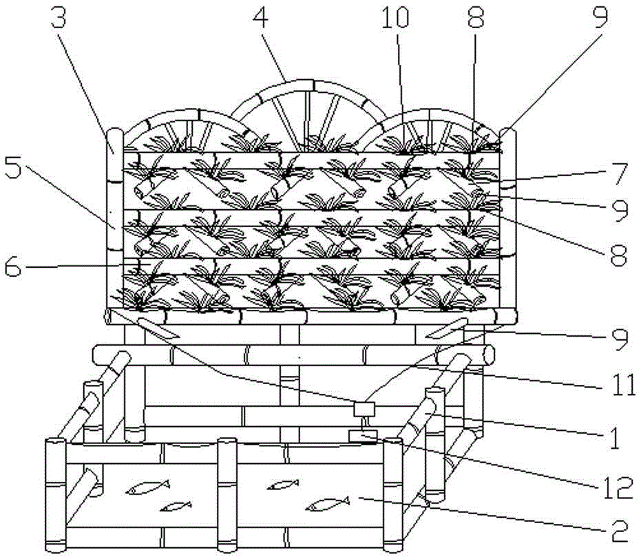 Aquarium with bamboo cultivation wall