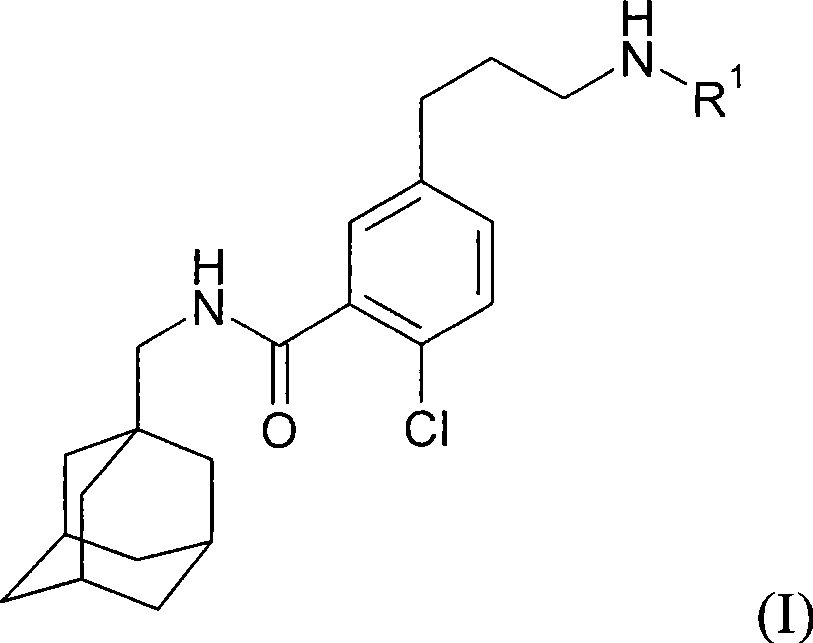 Process for preparing N-methyladamantyl derivatives by a palladium catalysed coupling reaction followed by reductive amination