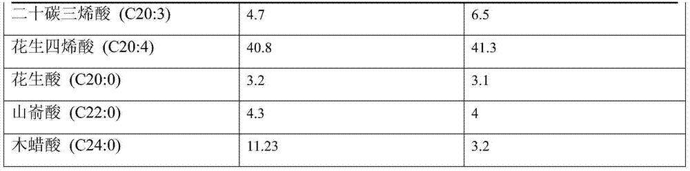 Method for producing arachidonic acid grease by utilizing mortierella alpina mutant strain, and arachidonic acid grease produced by method