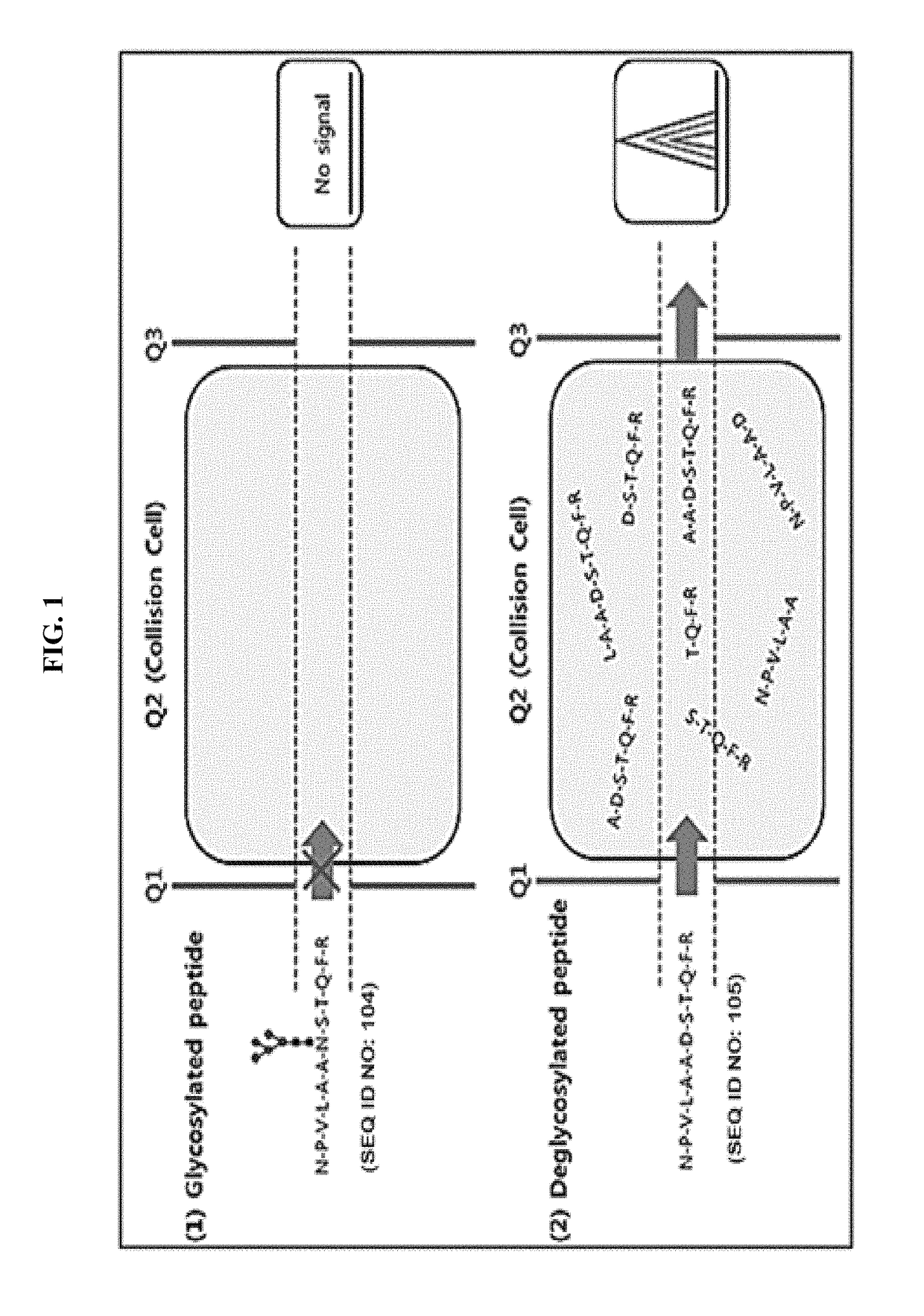 Method for diagnosing cancer through detection of deglycosylation of glycoprotein