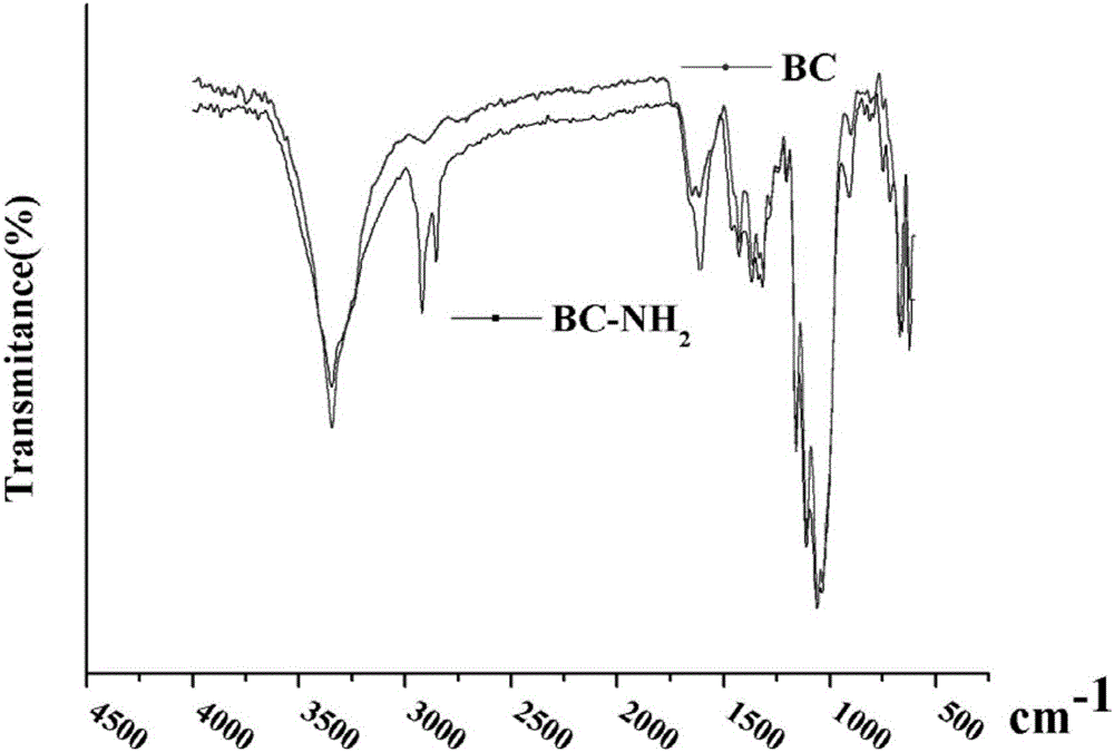 Preparation method of antimicrobial bacterial cellulose material