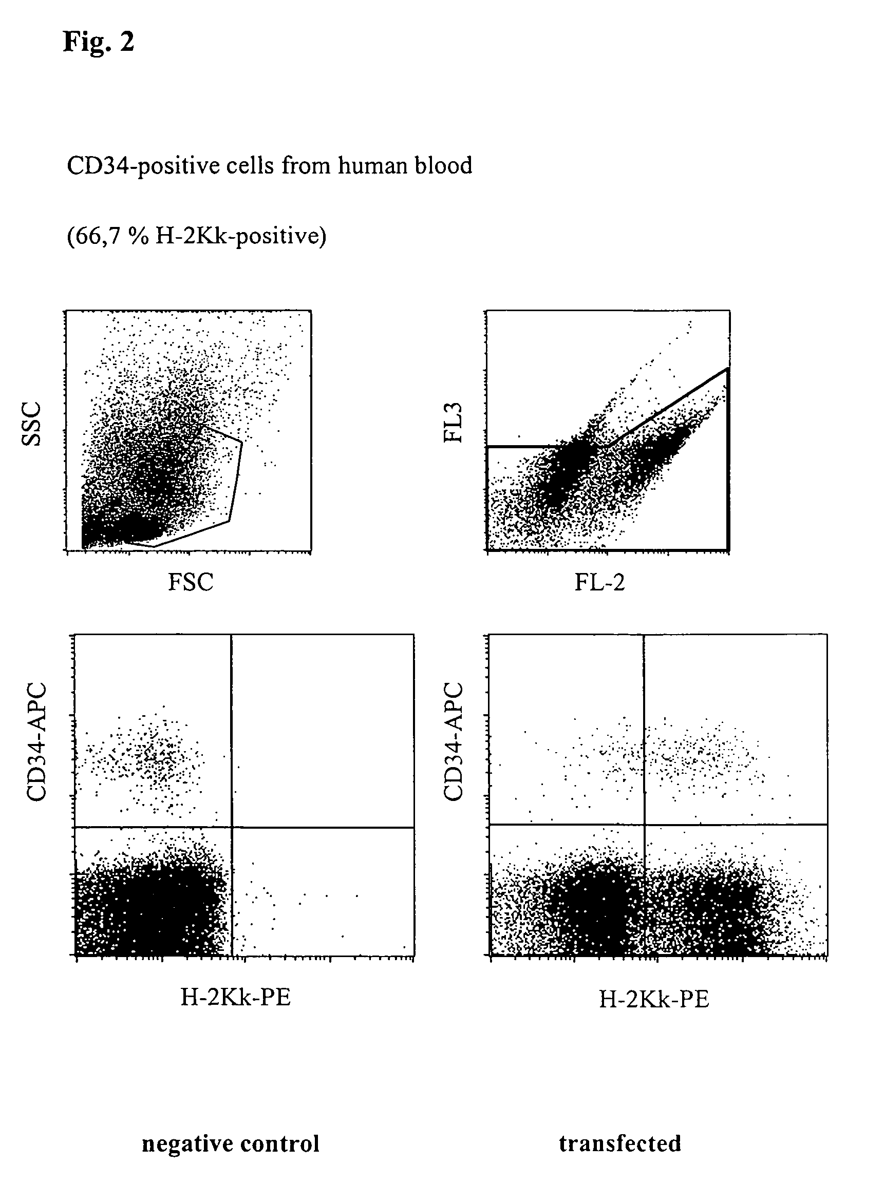 Circuit arrangement for injecting nucleic acids and other biologically active molecules into the nucleus of higher eucaryotic cells using electrical current