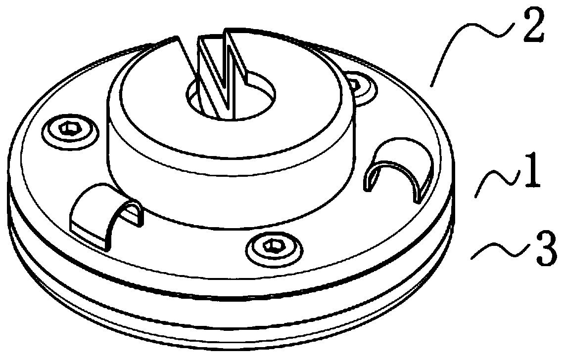 Infusion port injection holder fixing device