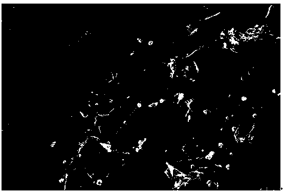 Preparation method for dual-signal electrochemical sensor for rapidly and selectively detecting sunset yellow