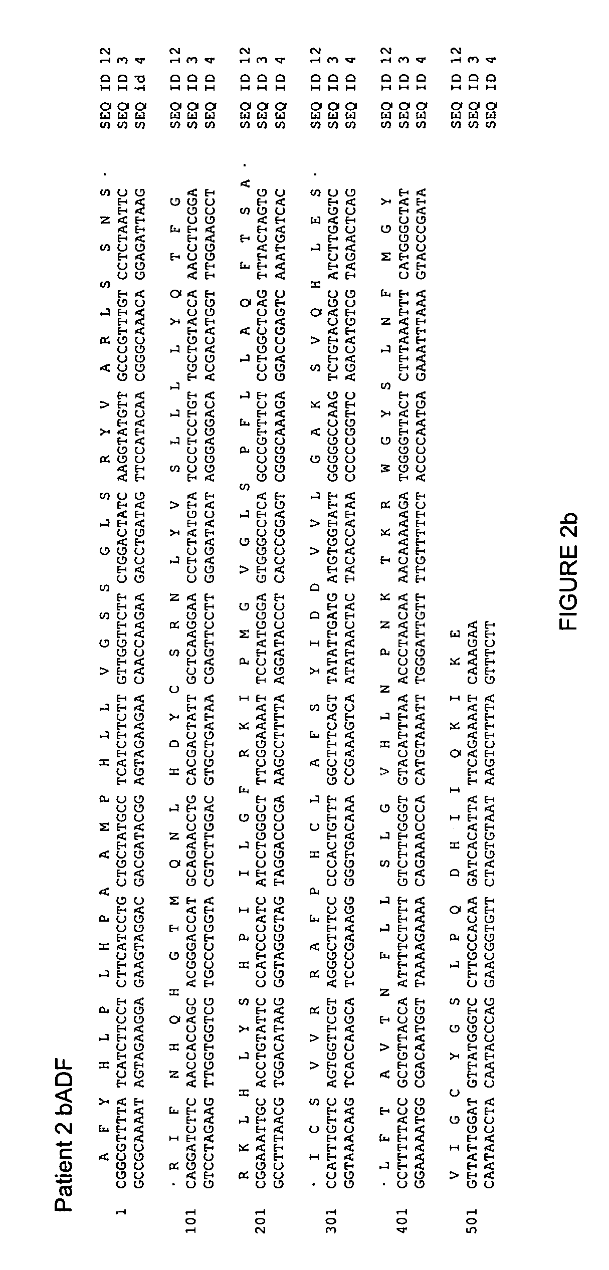 Variants of hepatitis B virus resistant against some nucleoside analogues, but sensitive to others, and uses thereof