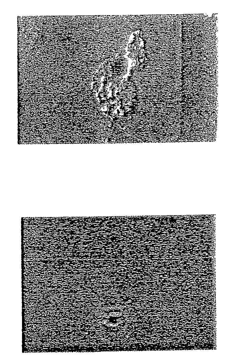 Hydrocarbon fuel compositions