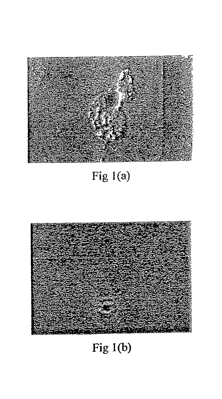 Hydrocarbon fuel compositions