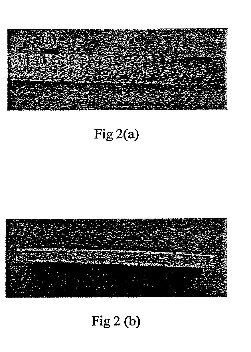 Hydrocarbon fuel compositions