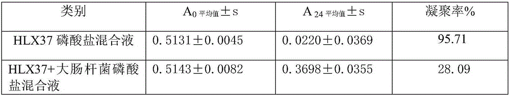 Purely natural blueberry composite powder and preparation method thereof