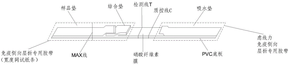 Preparation method of urine HCG quantitative detection test paper strip