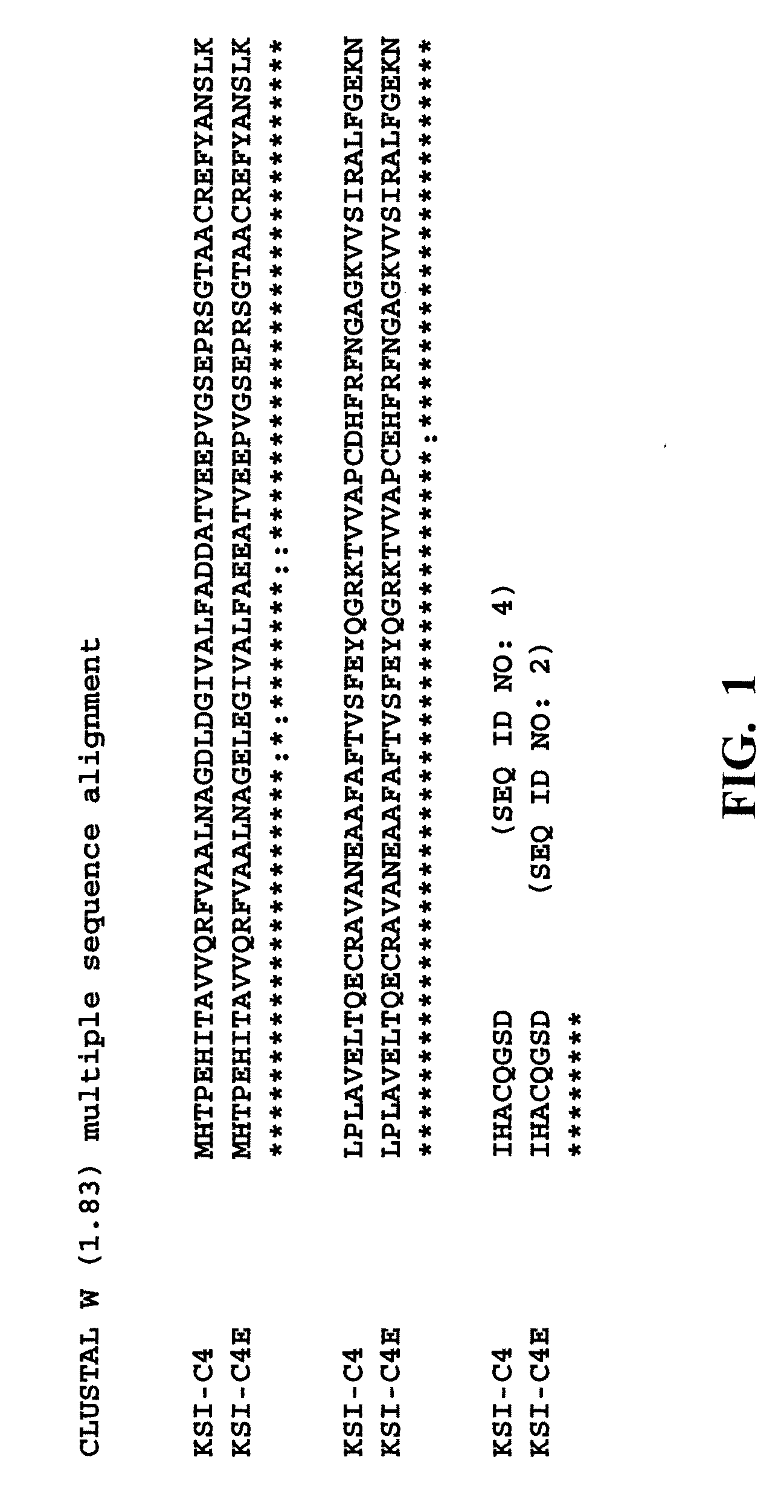 Acid-resistant solubility tag for the expression and purification of bioactive peptides