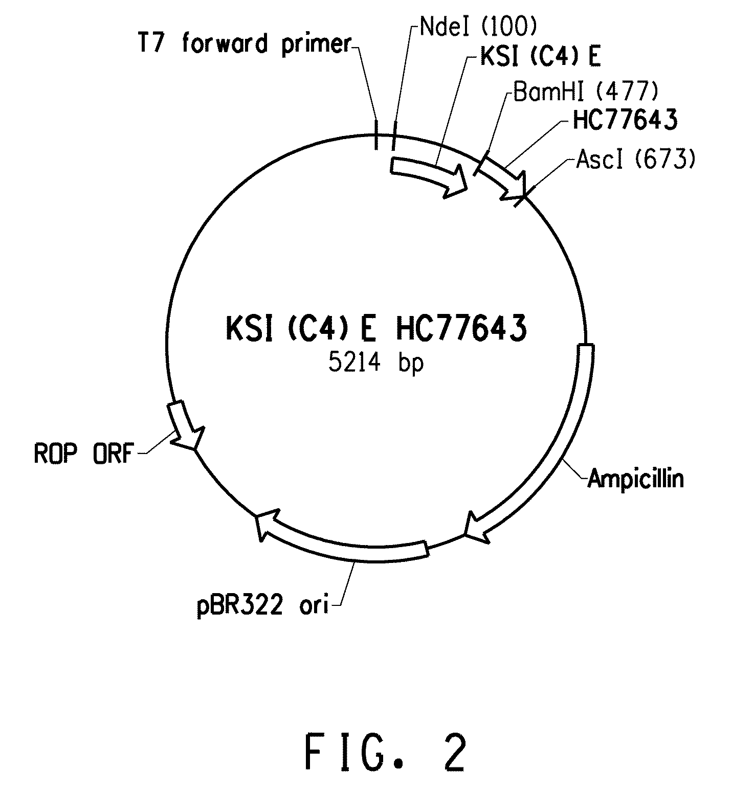 Acid-resistant solubility tag for the expression and purification of bioactive peptides