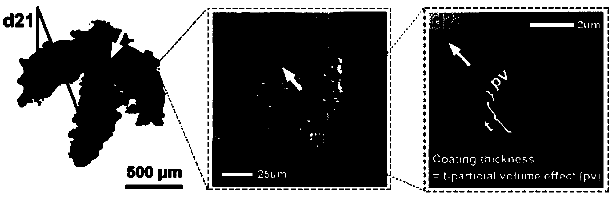 A 3D printed porous scaffold with antibacterial functional coating and its preparation method