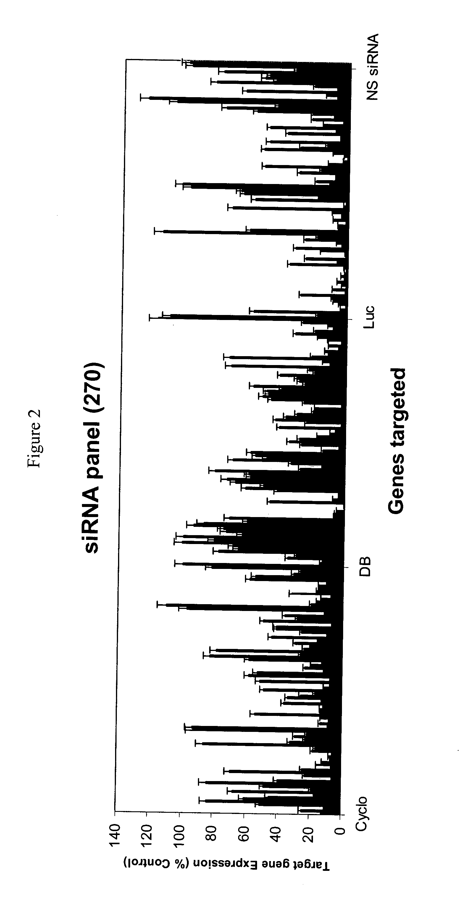 siRNA targeting serine/threonine protein kinase AKT