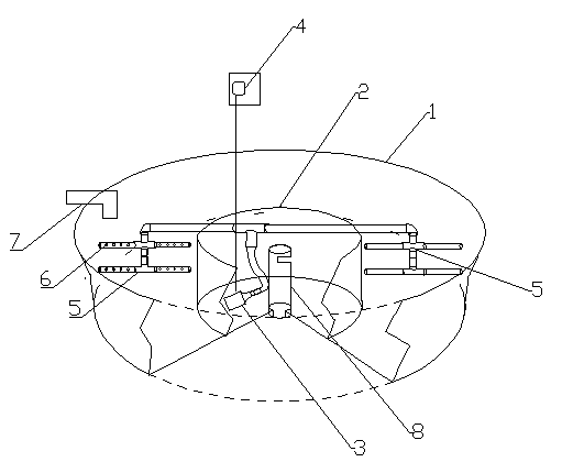 Wild training method and wild training device for improving swimming capacity of released Yangtze sturgeons