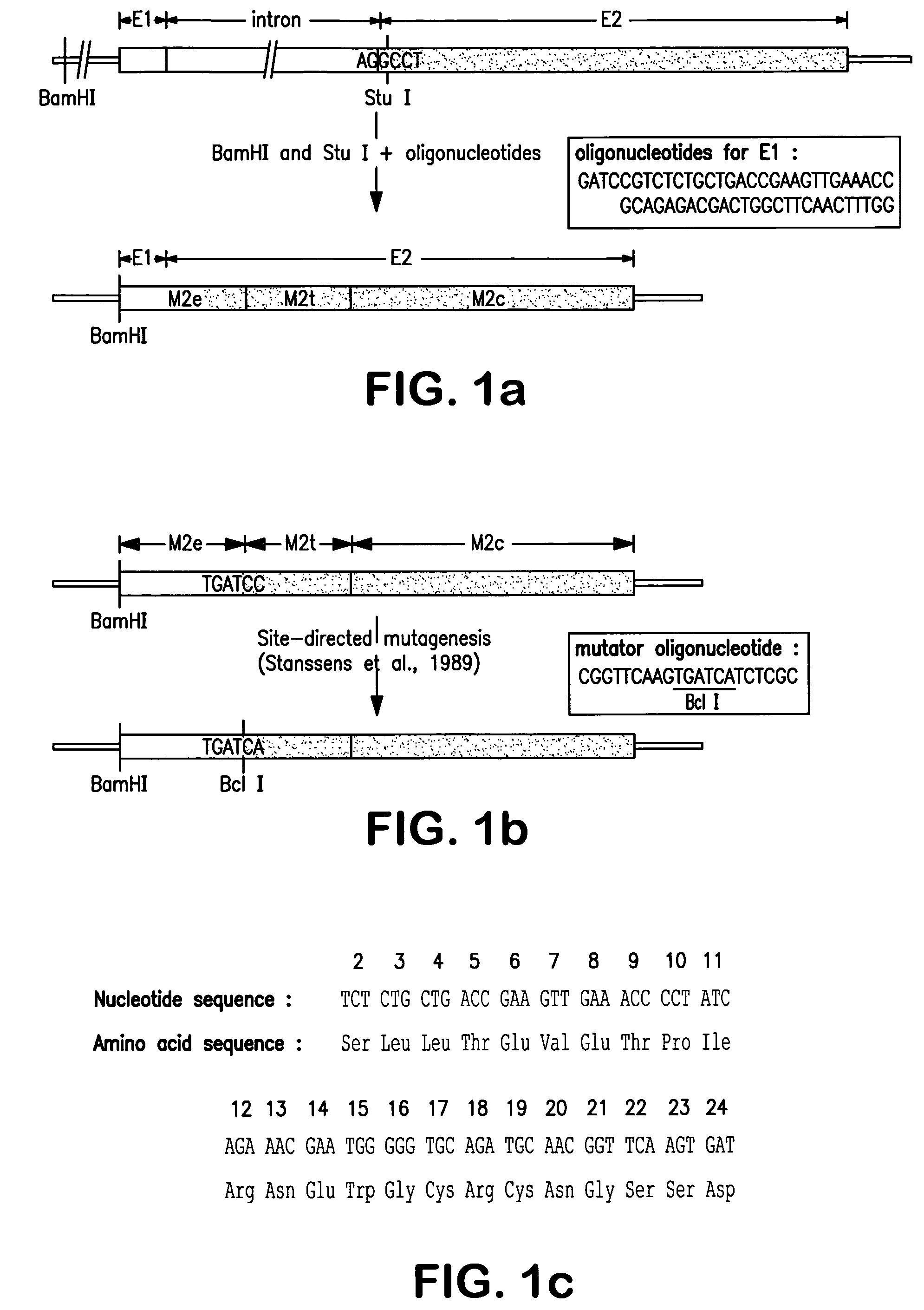 Immunoprotective influenza antigen and its use in vaccination