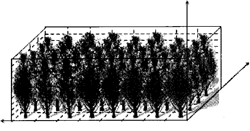 Method for measuring porosity of shelter belt