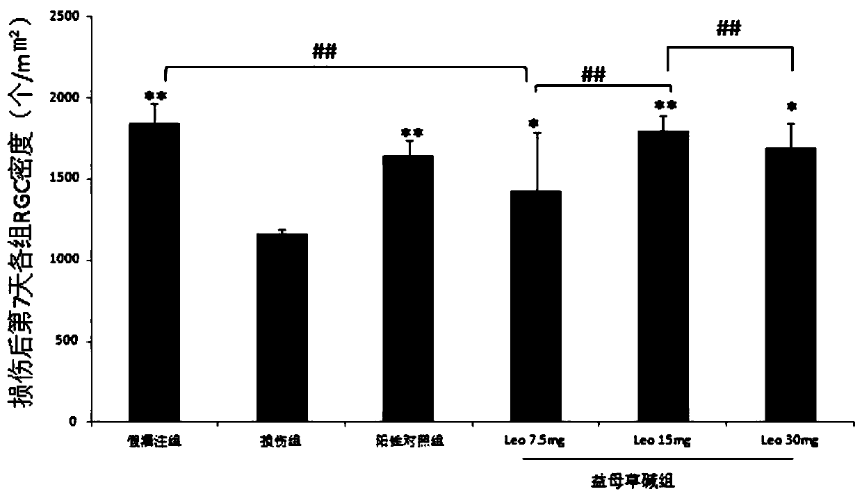 Use of Leonurine in the Preparation of Retinal Optic Nerve Protective Drugs